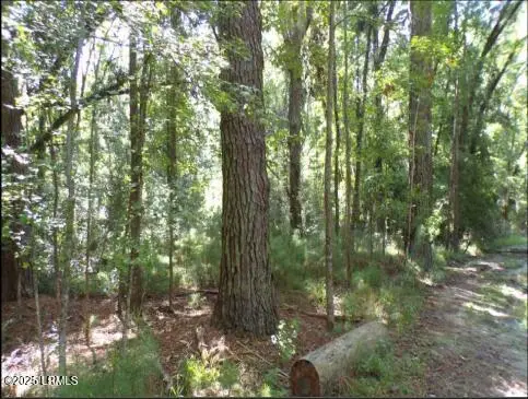 Tbd Arbor Victory, Beaufort, SC 29907 - Image #3