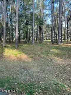 73 Bermuda Downs, Saint Helena Island, SC 29920 - Image #3