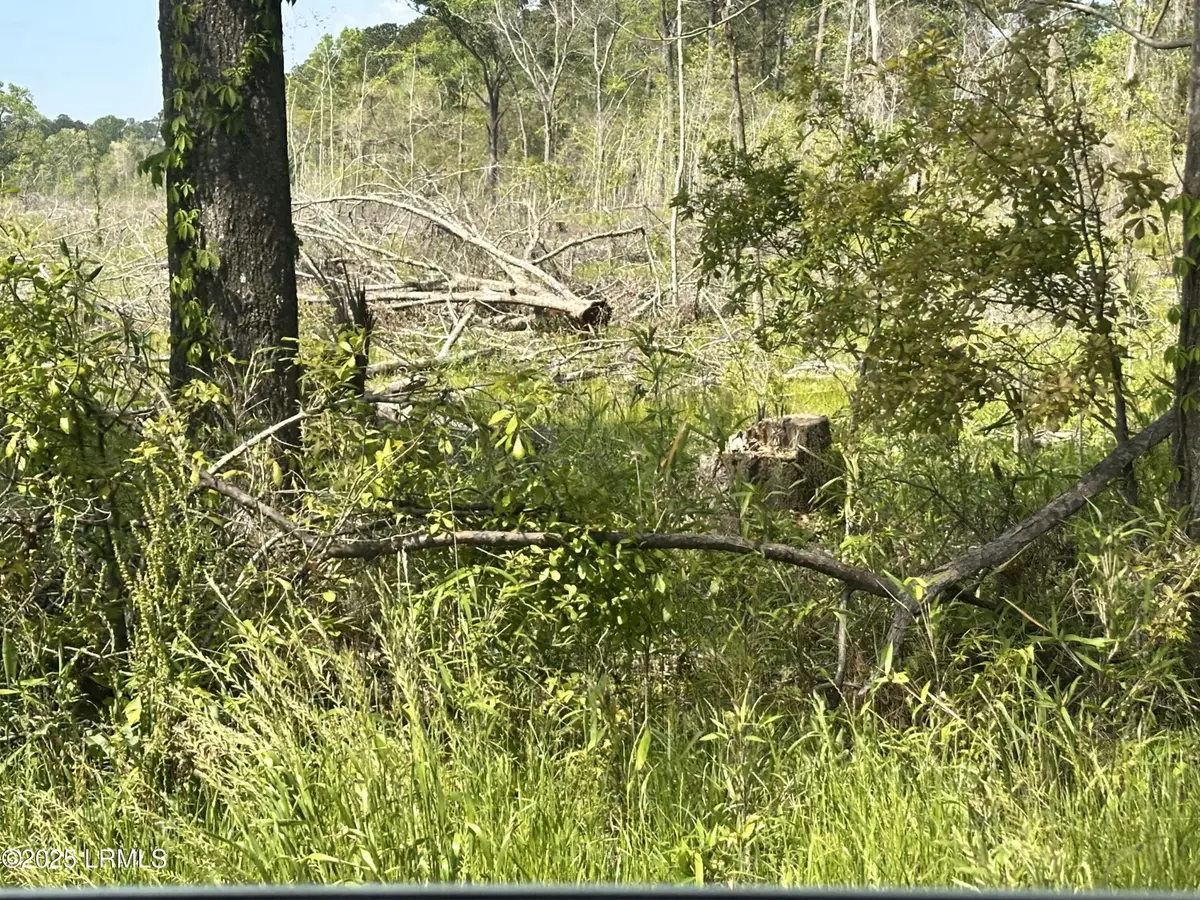 00 Lowcountry Drive, Ridgeland, SC 29936 - Image #1