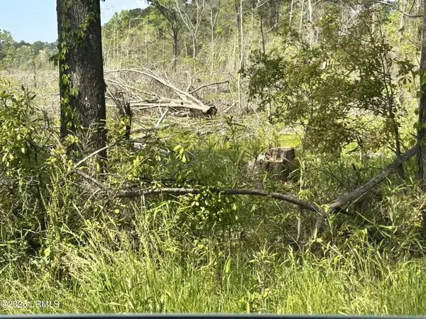 00 Lowcountry Drive, Ridgeland, SC 29936