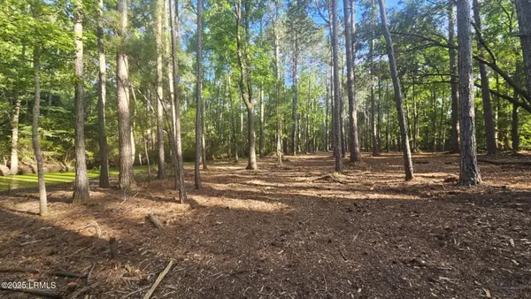 106 Gator Lane, Lady's Island, SC 29907