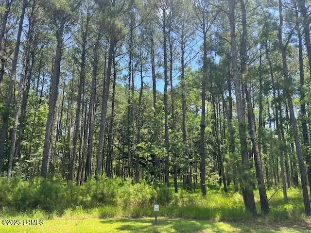177 Bridle Path Boulevard, Hardeeville, SC 29927 - Image #2