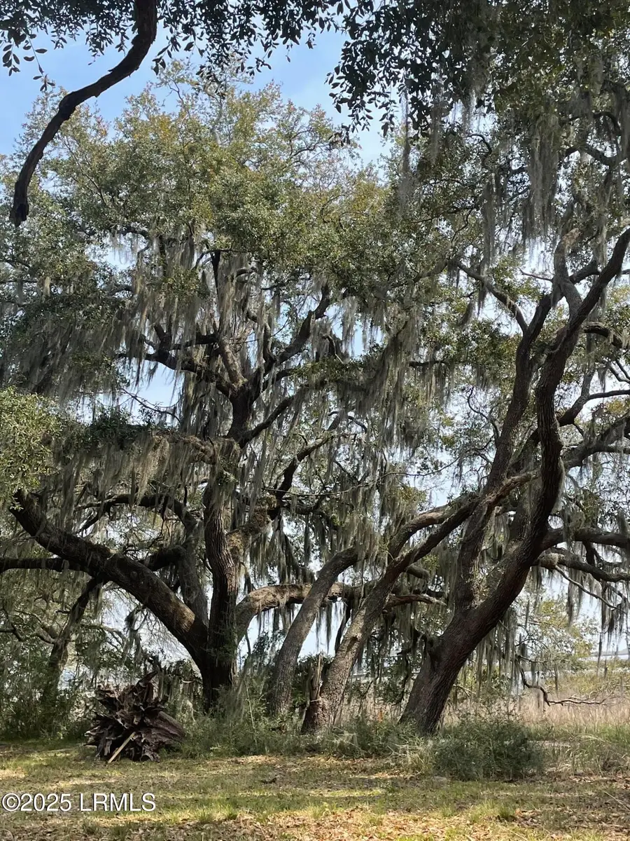 76 Priester Road, Seabrook, SC 29940 - Image #3