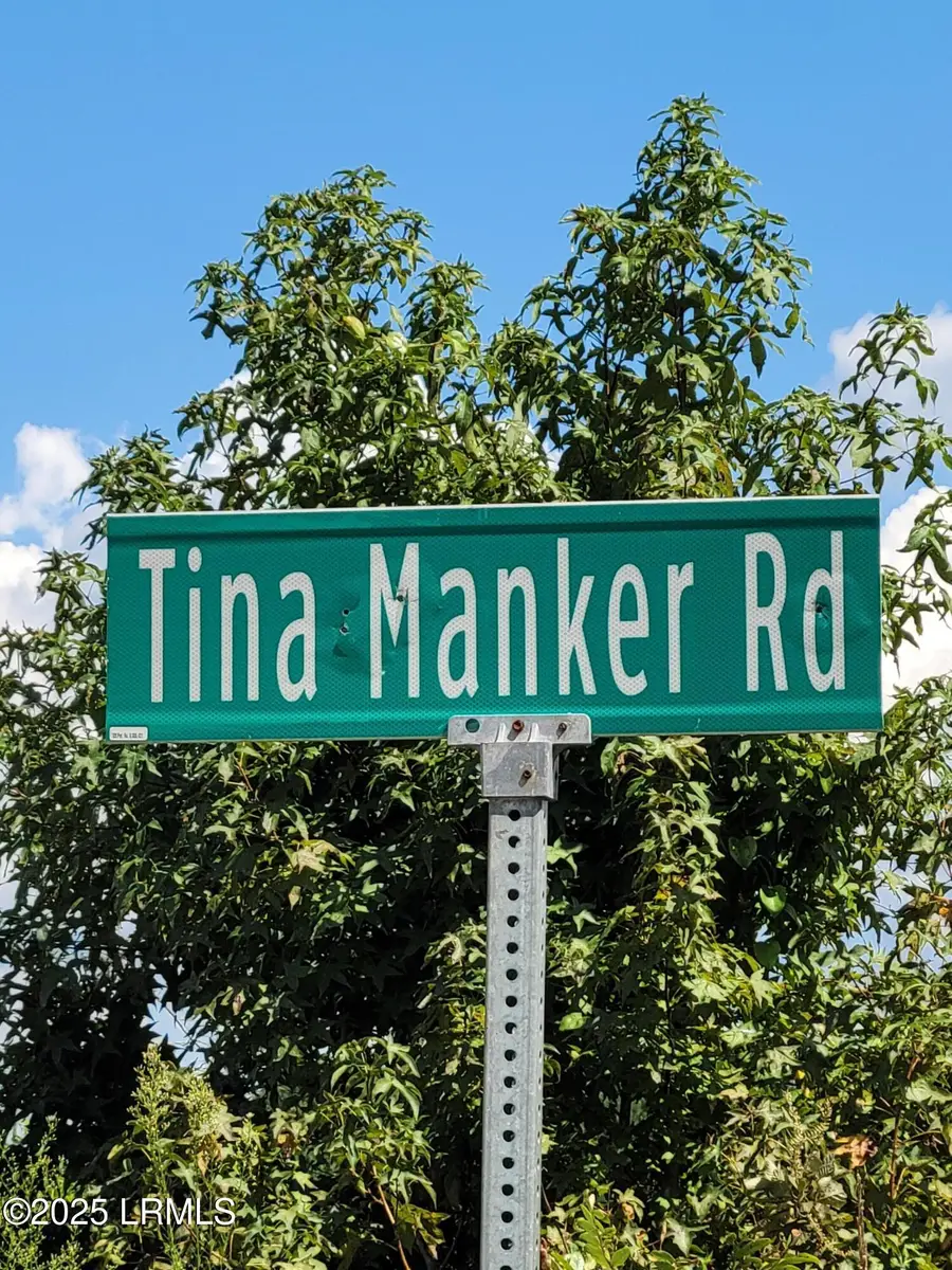 Tbd Tina Manker Road, Ridgeland, SC 29936 - Image #3
