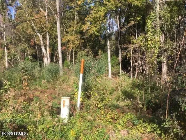 Tbd Goethe Hill Road, Beaufort, SC 29906 - Image #3