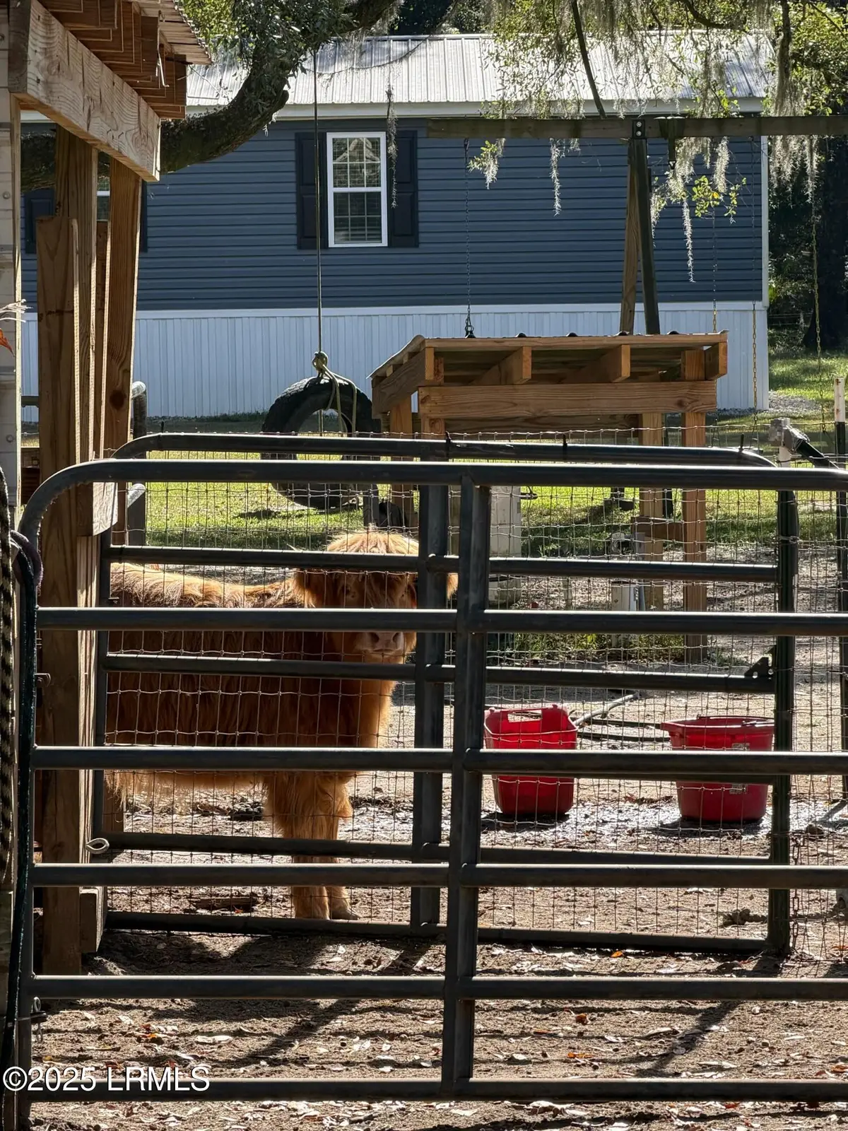 10 Big Ash Lane, Beaufort, SC 29907 - #1