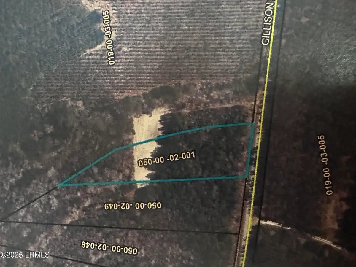 Tbd Gillison Branch Road, Ridgeland, SC 29936 - Image #1