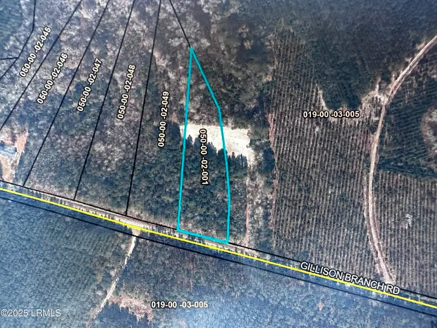 Tbd Gillison Branch Road, Ridgeland, SC 29936 - Image #3