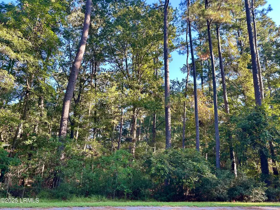 12 Barnaby Bluff, Seabrook, SC 29940 - #2