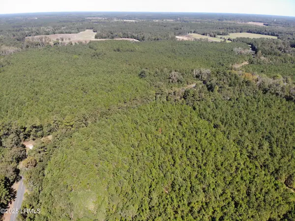 2443 Mt Pleasant Road, Ehrhardt, SC 29081