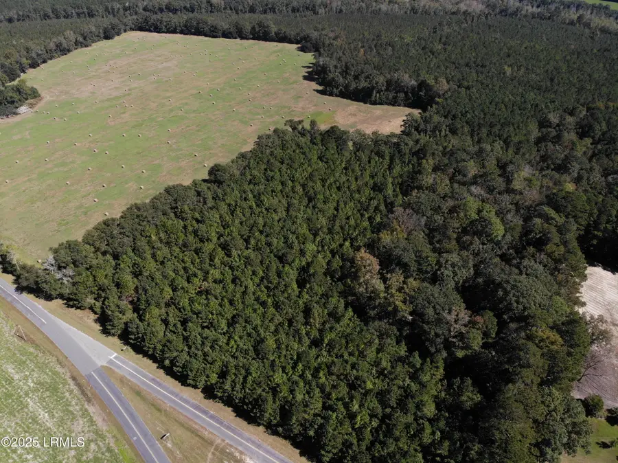 2443 Mt Pleasant Road, Ehrhardt, SC 29081 - Image #2