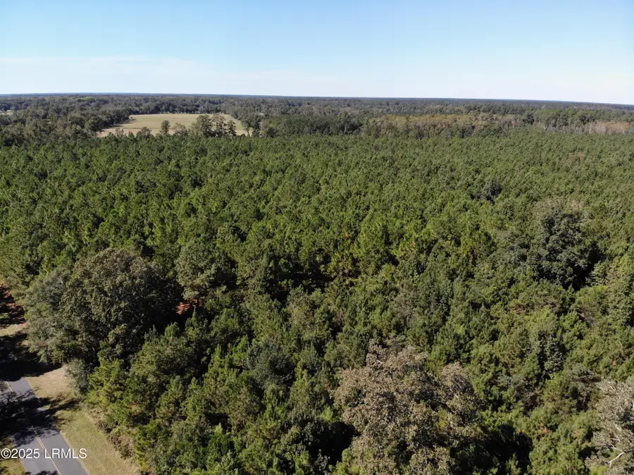 2443 Mt Pleasant Road, Ehrhardt, SC 29081 - Image #3