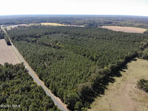 2443 Mt Pleasant Road, Ehrhardt, SC 29081