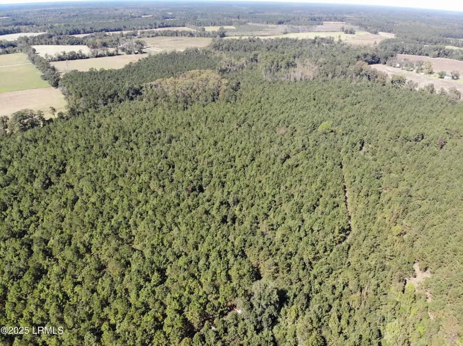 2443 Mt Pleasant Road, Ehrhardt, SC 29081 - Image #2