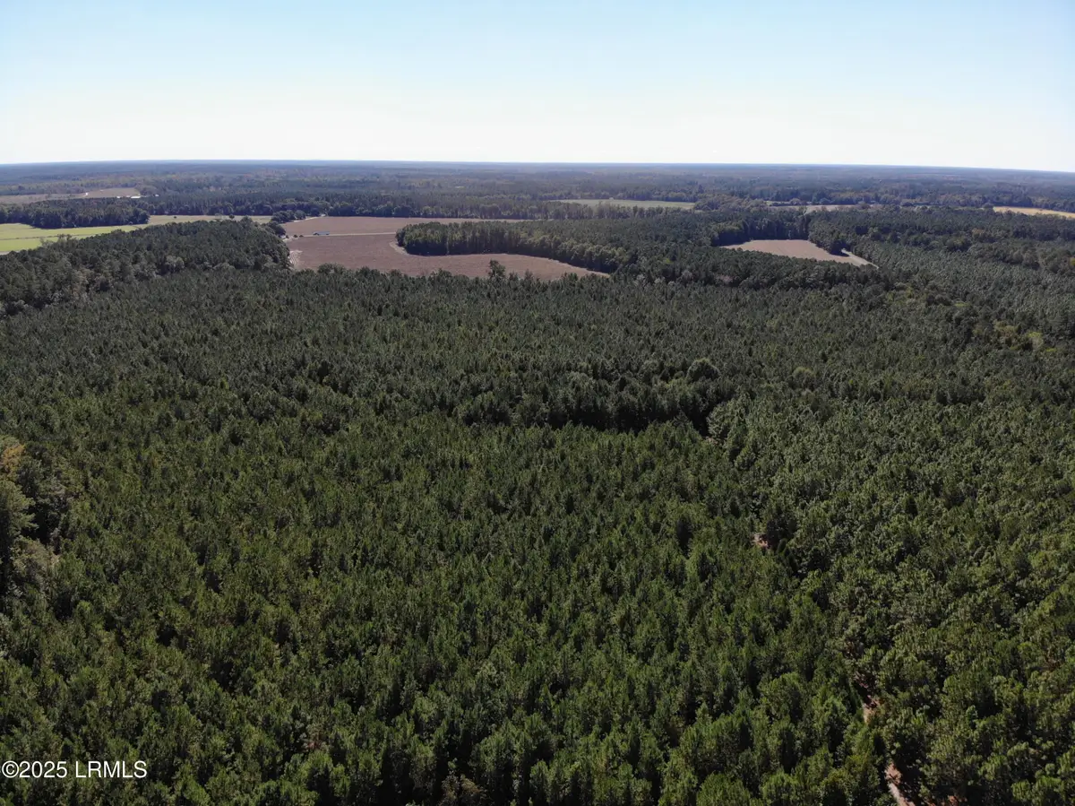 2443 Mt Pleasant Road, Ehrhardt, SC 29081 - Image #1