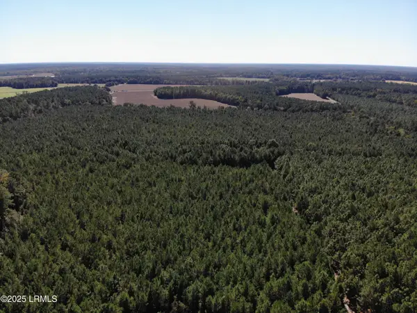 2443 Mt Pleasant Road, Ehrhardt, SC 29081