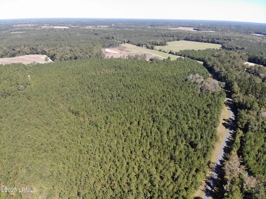 2443 Mt Pleasant Road, Ehrhardt, SC 29081 - Image #2