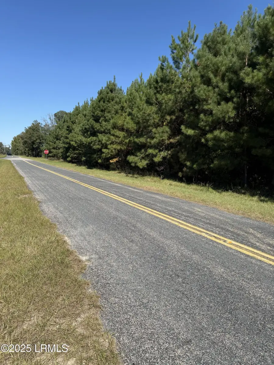 2443 Mt Pleasant Road, Ehrhardt, SC 29081 - Image #3