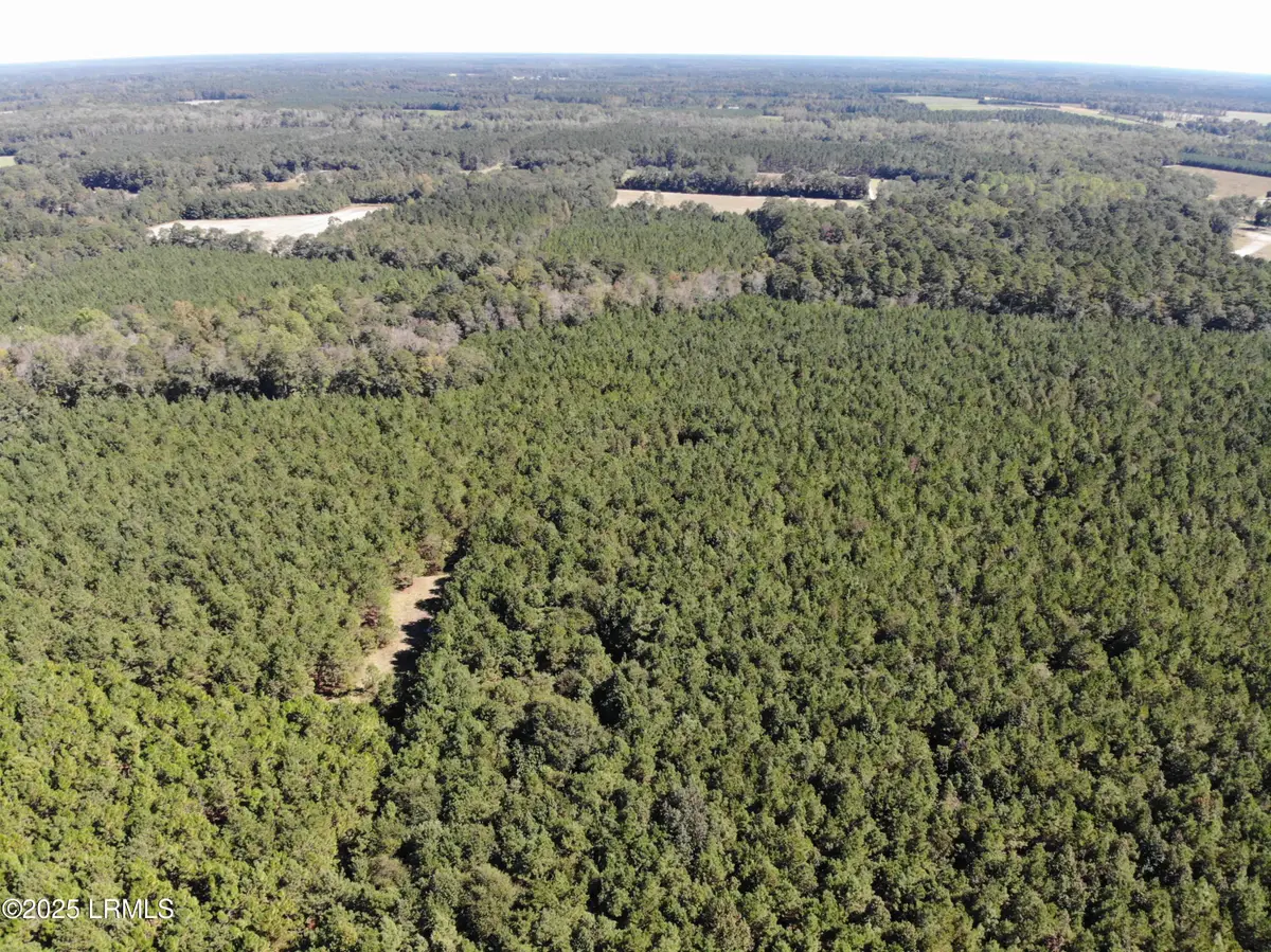 Tbd Hi Ki Pin Road, Ehrhardt, SC 29081 - Image #1