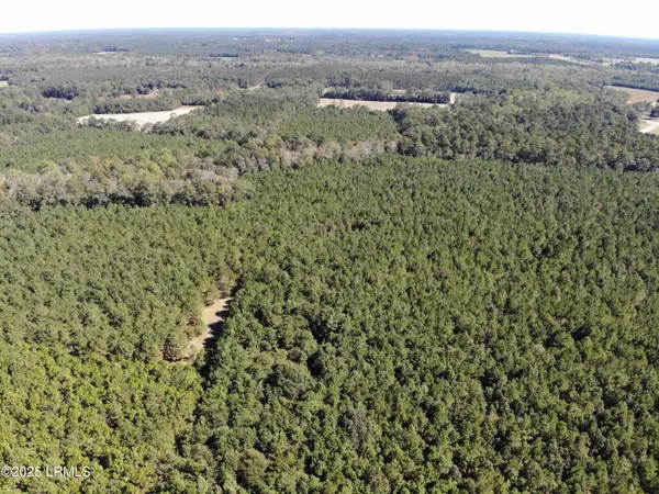 Tbd Hi Ki Pin Road, Ehrhardt, SC 29081