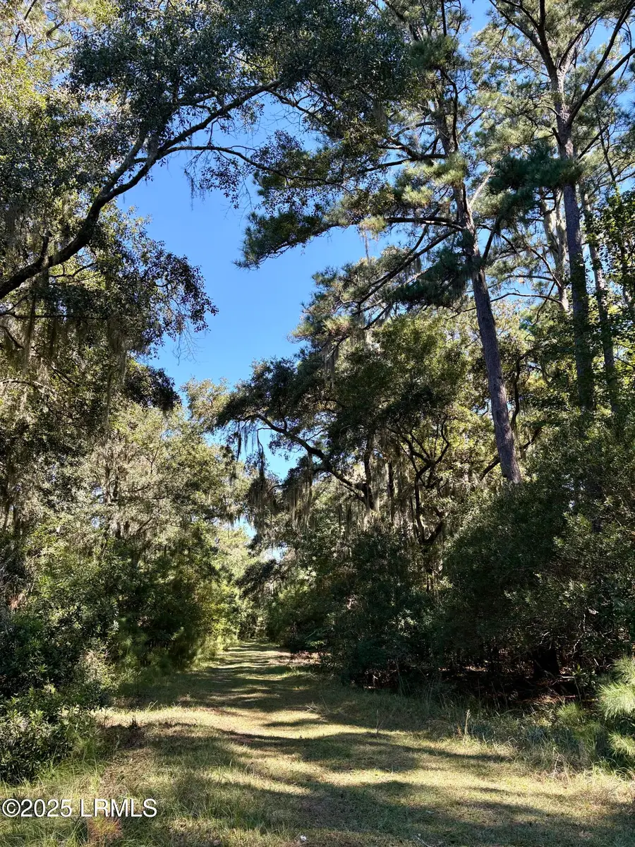 43 Christinas Court, Daufuskie Island, SC 29915 - Image #2