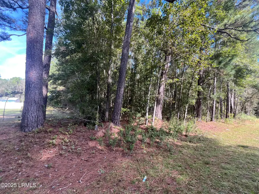 5351 Tillman Road, Ridgeland, SC 29936 - Image #2