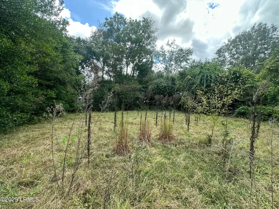 423 Parkwood Terrace, Allendale, SC 29810 - Image #3