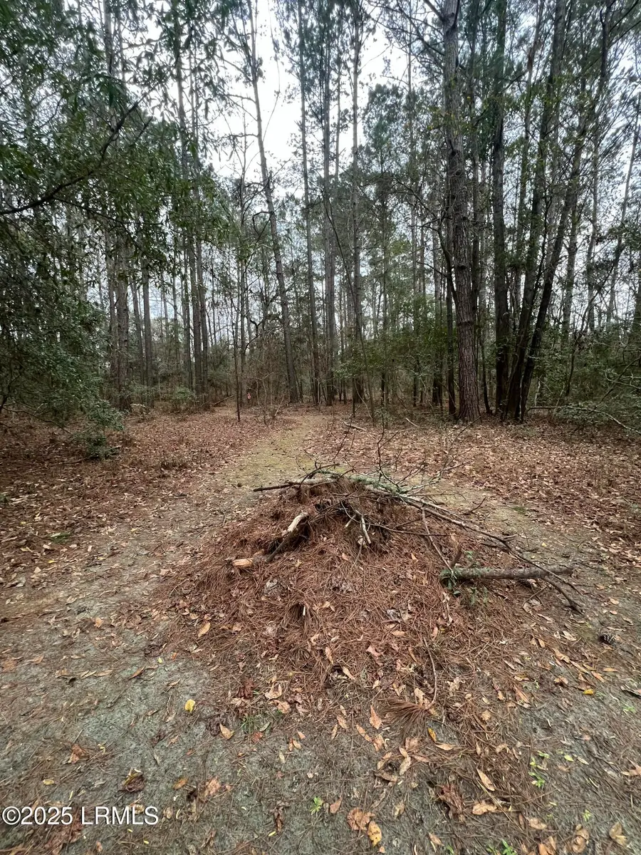 4920 Carolina 162, Hollywood, SC 29449 - Image #2