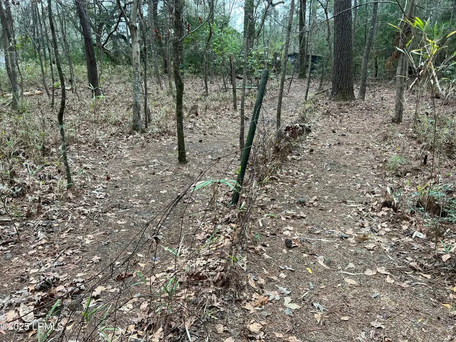 4920 Carolina 162, Hollywood, SC 29449 - Image #3