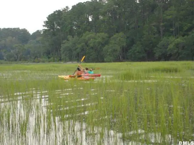 2 Black Skimmer Court, Beaufort, SC 29907 - Image #3