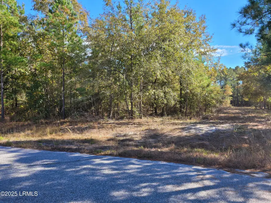 Tbd Beaver Creek Place, Ridgeland, SC 29936 - Image #2