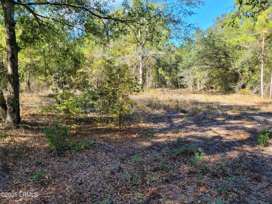 Tbd Beaver Creek Place, Ridgeland, SC 29936 - Image #3