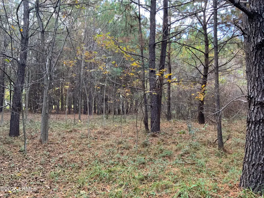 33 Pearl Harbor Drive, Saint Helena Island, SC 29920 - Image #2