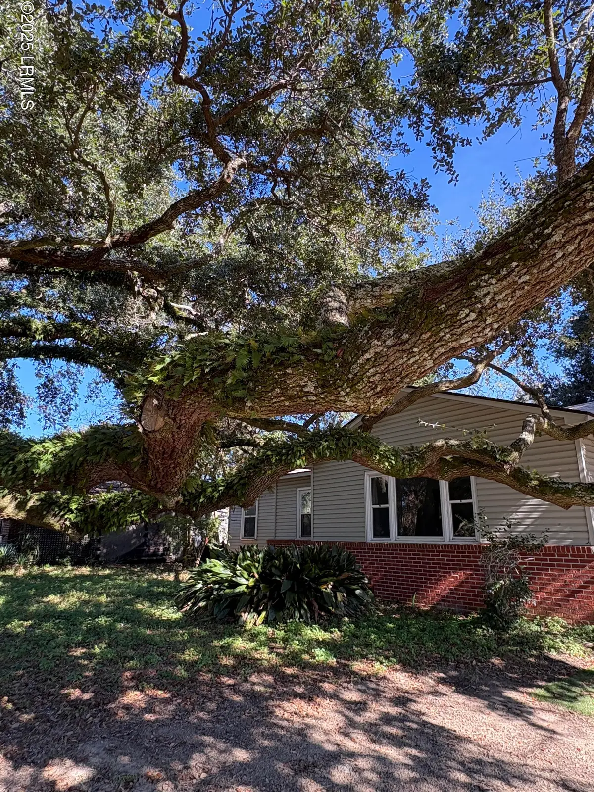 1505 Palmetto Drive, Beaufort, SC 29902 - Image #1