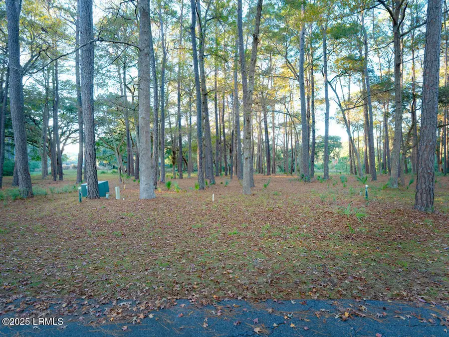 89 Martinangel Lane, Daufuskie Island, SC 29915 - Image #2