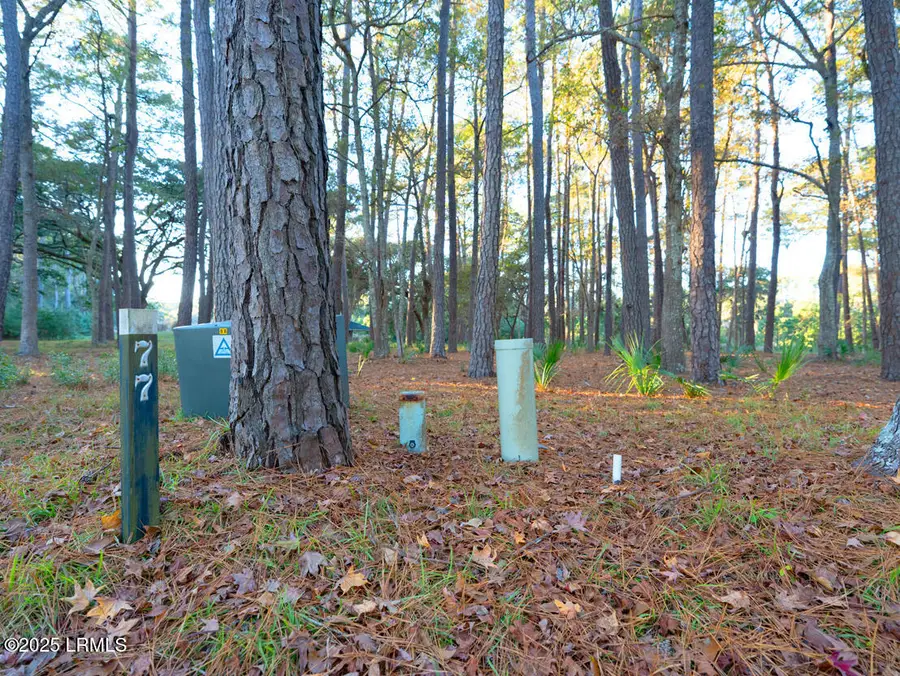 89 Martinangel Lane, Daufuskie Island, SC 29915 - Image #3