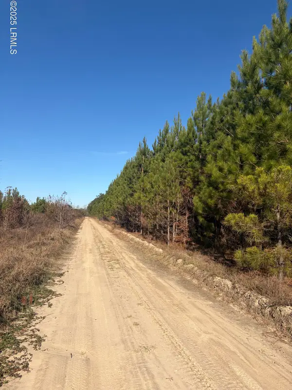 Tbd Orangeburg Road, Estill, SC 29939