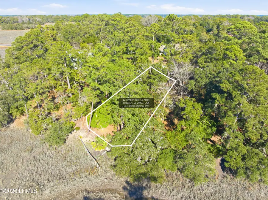 12 Timber Trail, Beaufort, SC 29907 - #2