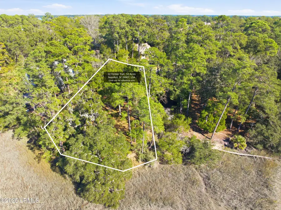 12 Timber Trail, Beaufort, SC 29907 - #3