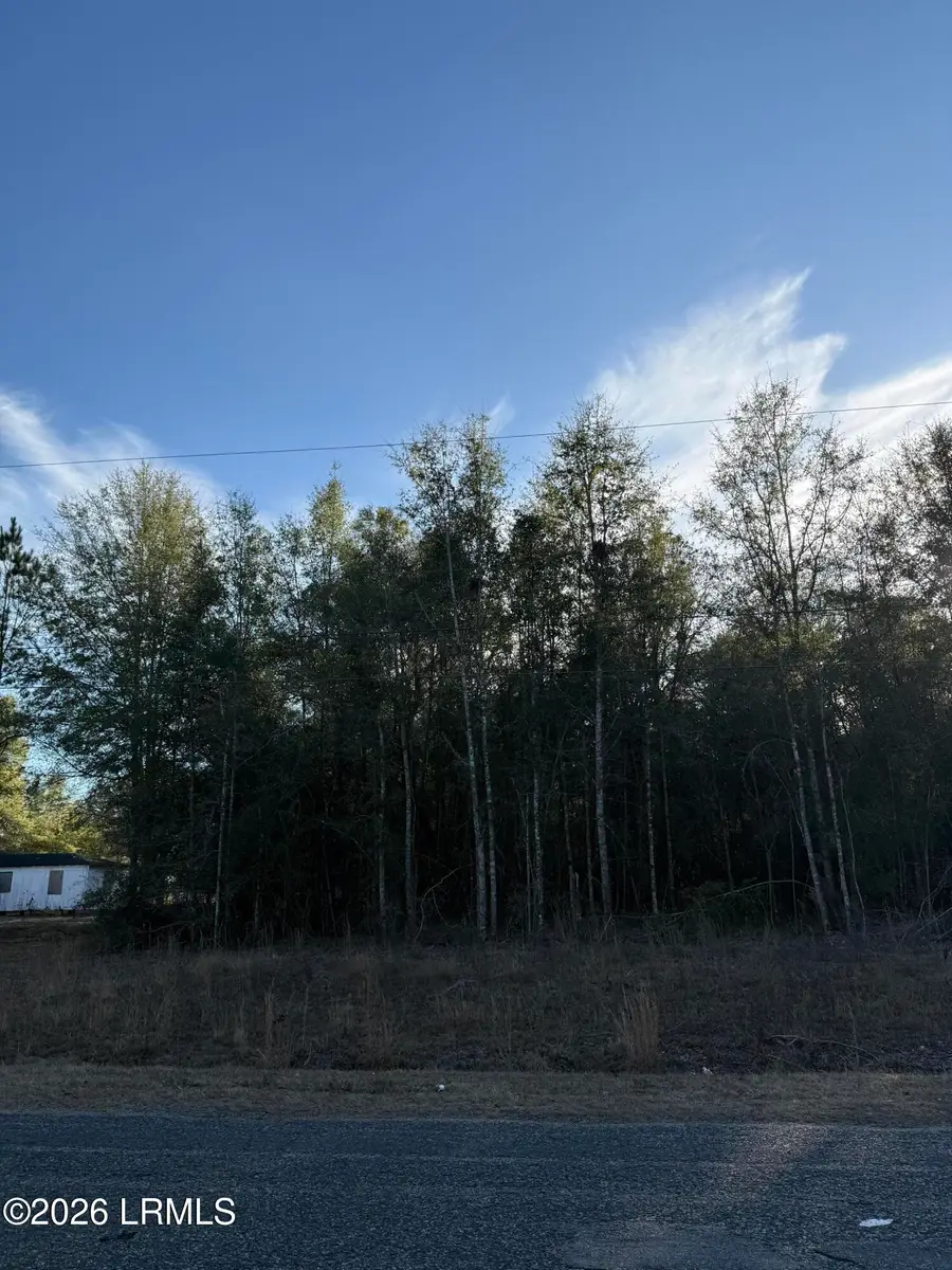 Tbd Stokes Bluff Road, Garnett, SC 29922 - #3