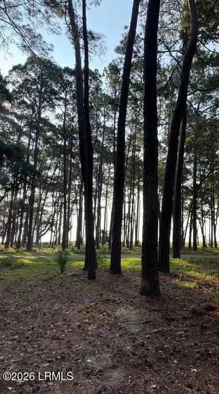 87 Martinangel Lane, Daufuskie Island, SC 29915 - #1