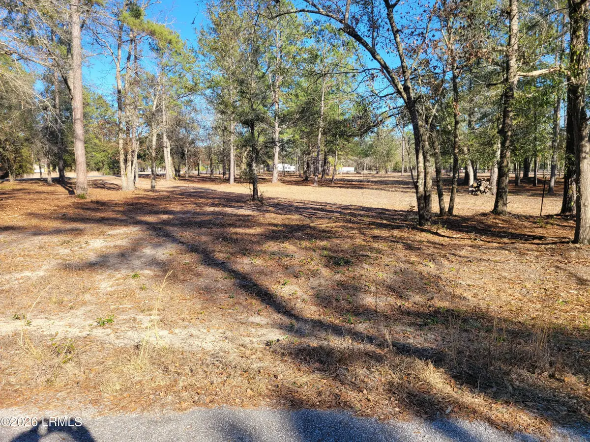 Tbd Beaver Dam Road, Ridgeland, SC 29936 - #1
