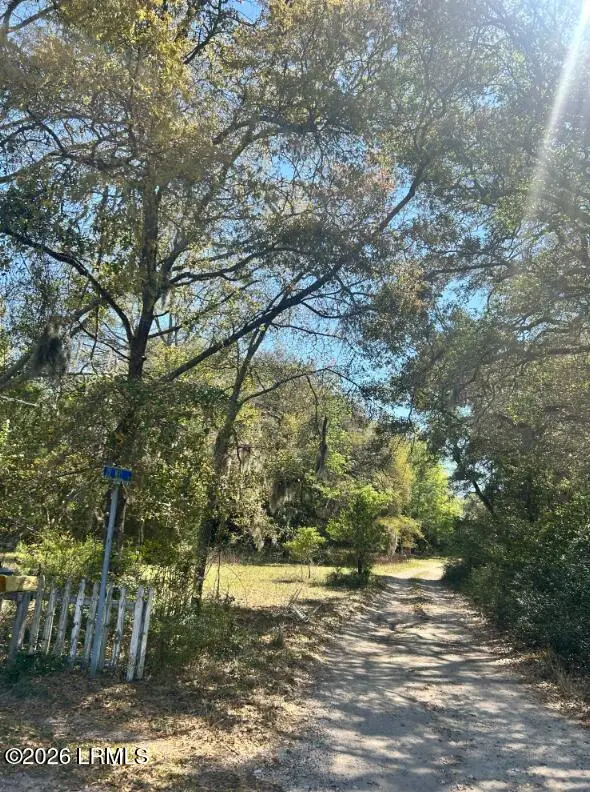 3 Joe Mell Drive, Saint Helena Island, SC 29920 - #2