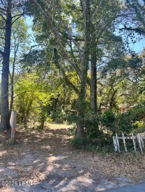 3 Joe Mell Drive, Saint Helena Island, SC 29920 - #3