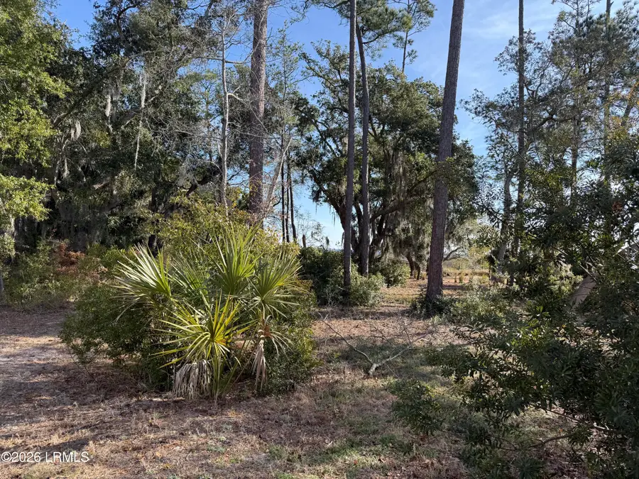 1 Shallow Run Lane, Beaufort, SC 29907 - #2