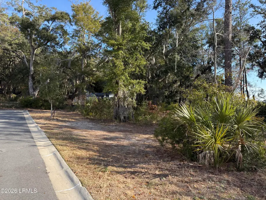 1 Shallow Run Lane, Beaufort, SC 29907 - #3