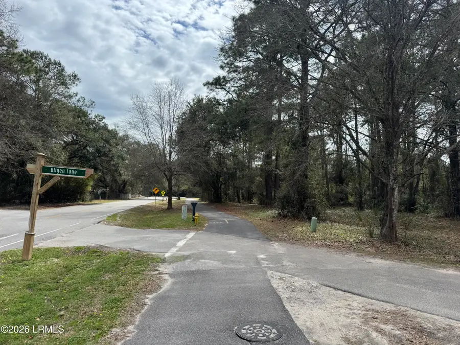 0 Wild Horse Road, Hilton Head Island, SC 29926 - #3