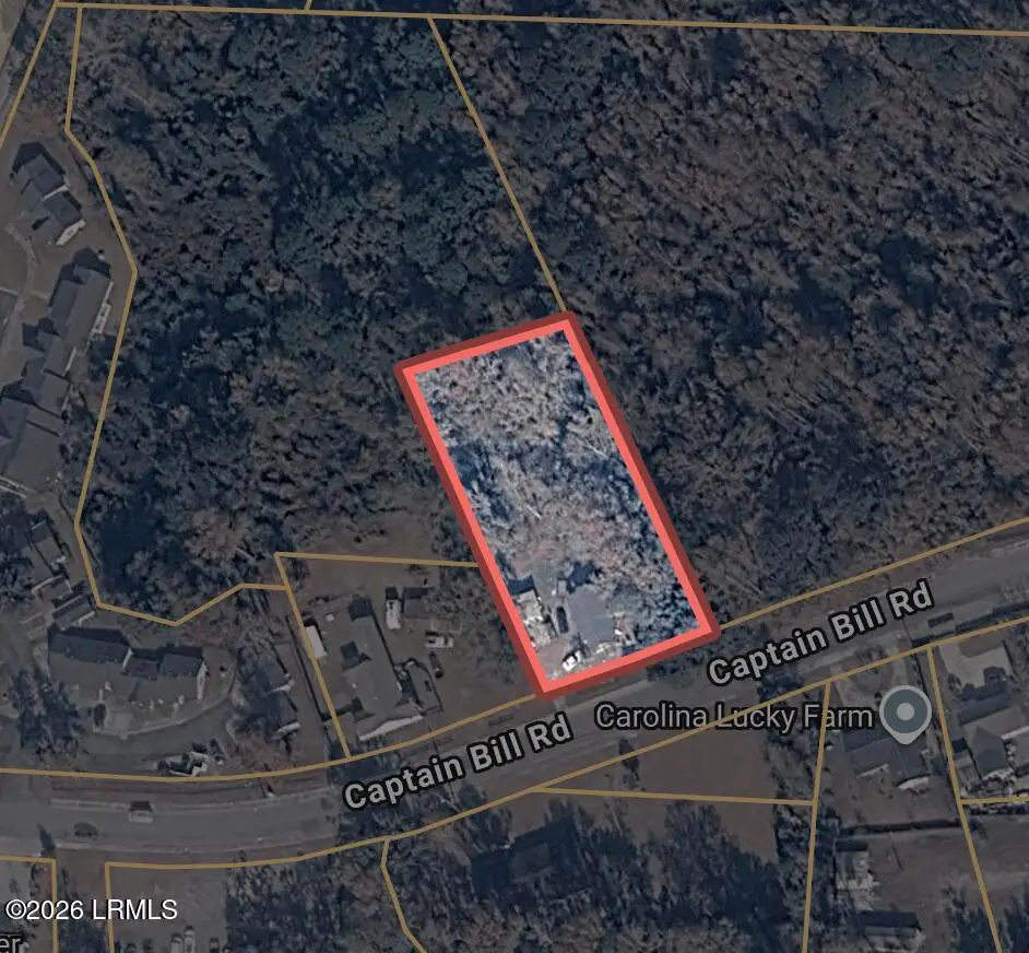 231 Captain Bill Road, Ridgeland, SC 29936 - #1