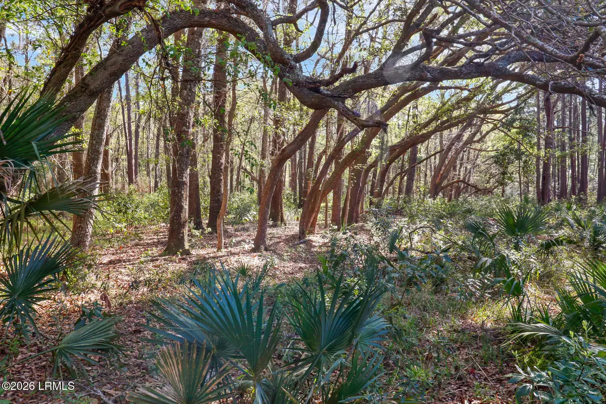 1 Canters Court, Bluffton, SC 29910 - #1