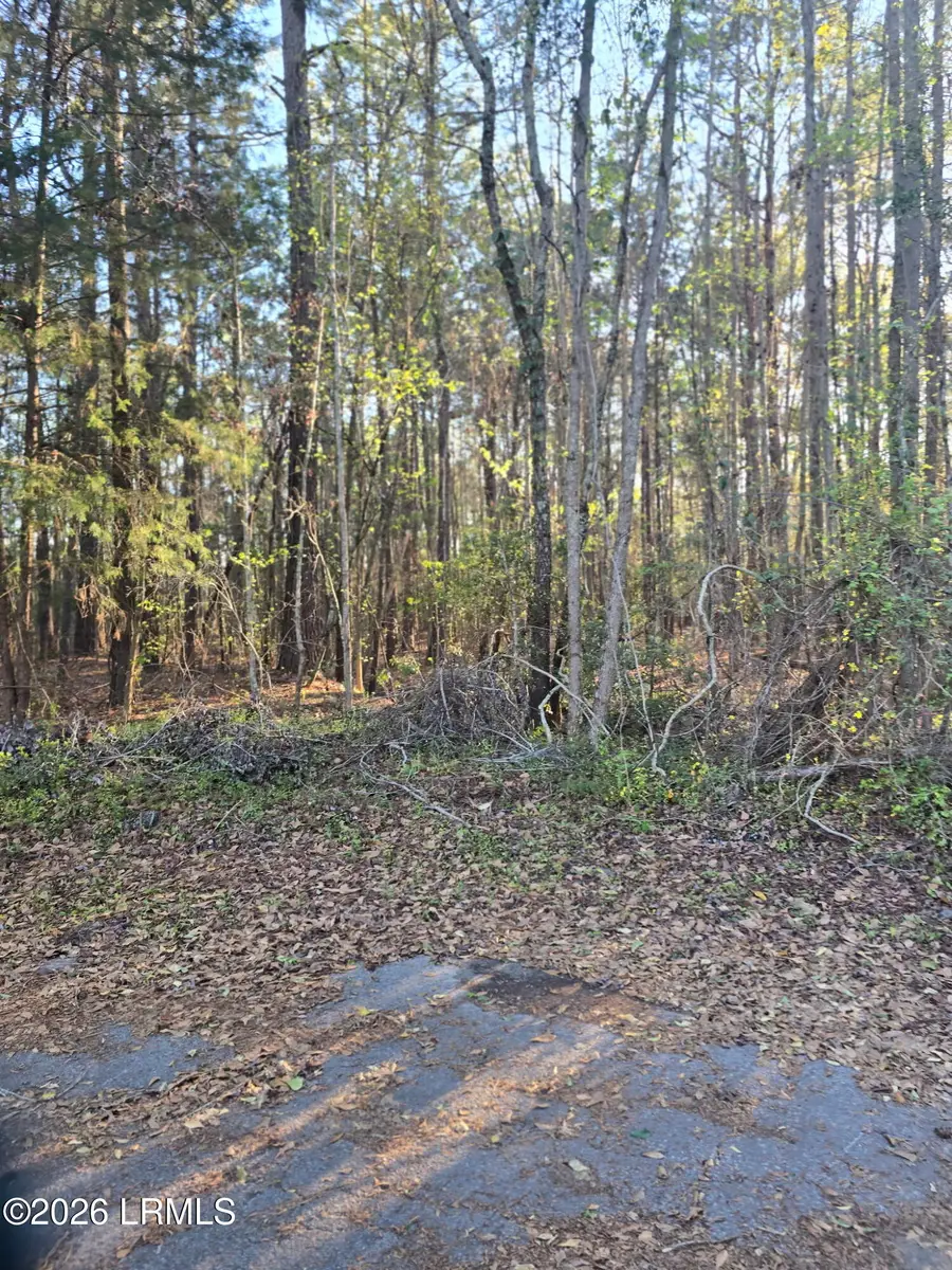 Lot 12 Freeman Street, Brunson, SC 29911 - #2